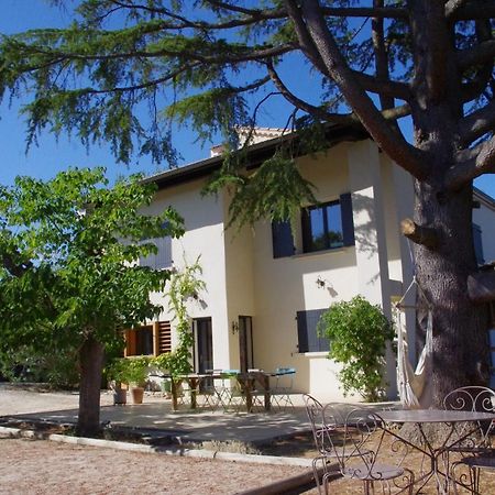 Le Grand Cedre - 2 Chambres D'Hotes - Sud Ardeche Bourg-Saint-Andéol Εξωτερικό φωτογραφία