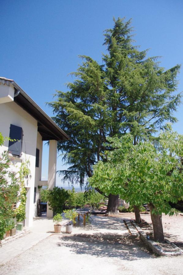 Le Grand Cedre - 2 Chambres D'Hotes - Sud Ardeche Bourg-Saint-Andéol Εξωτερικό φωτογραφία