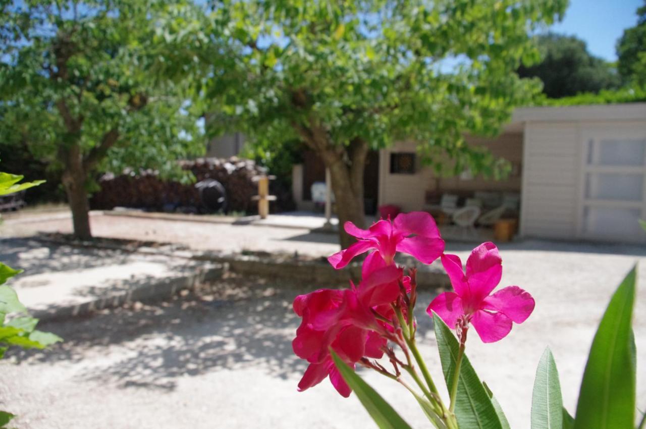 Le Grand Cedre - 2 Chambres D'Hotes - Sud Ardeche Bourg-Saint-Andéol Εξωτερικό φωτογραφία
